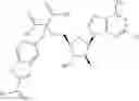 Fig. 543 - Ectonucleotidase inhibitors and methods of use thereof