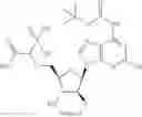 Fig. 68 - Ectonucleotidase inhibitors and methods of use thereof