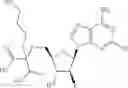 Fig. 82 - Ectonucleotidase inhibitors and methods of use thereof