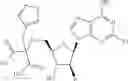 Fig. 87 - Ectonucleotidase inhibitors and methods of use thereof