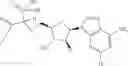 Fig. 88 - Ectonucleotidase inhibitors and methods of use thereof