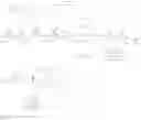 Fig. 115 - Macrocycles as factor XIA inhibitors