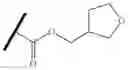 Fig. 569 - Macrocycles as factor XIA inhibitors