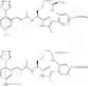 Fig. 616 - Macrocycles as factor XIA inhibitors