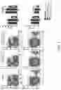 Fig. 08 - NUCLEAR TRANSPORT MODULATORS AND USES THEREOF