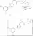 Fig. 201 - NUCLEAR TRANSPORT MODULATORS AND USES THEREOF