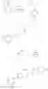 Fig. 229 - NUCLEAR TRANSPORT MODULATORS AND USES THEREOF