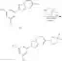 Fig. 235 - NUCLEAR TRANSPORT MODULATORS AND USES THEREOF