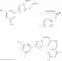 Fig. 255 - NUCLEAR TRANSPORT MODULATORS AND USES THEREOF