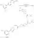 Fig. 271 - NUCLEAR TRANSPORT MODULATORS AND USES THEREOF