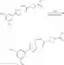 Fig. 277 - NUCLEAR TRANSPORT MODULATORS AND USES THEREOF