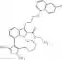 Fig. 505 - Macrocyclic indole derivatives