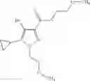 Fig. 561 - Macrocyclic indole derivatives