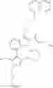 Fig. 640 - Macrocyclic indole derivatives
