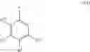 Fig. 70 - Macrocyclic indole derivatives