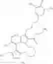 Fig. 905 - Macrocyclic indole derivatives