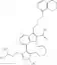 Fig. 976 - Macrocyclic indole derivatives