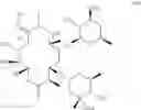 Fig. 20 - PROCESSES FOR PREPARING MACROLIDES AND KETOLIDES AND INTERMEDIATES THEREFOR