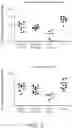Fig. 03 - NUCLEOTIDE AND OLIGONUCLEOTIDE PRODRUGS