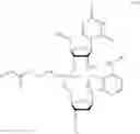Fig. 06 - NUCLEOTIDE AND OLIGONUCLEOTIDE PRODRUGS