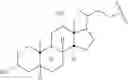 Fig. 12 - NUCLEOTIDE AND OLIGONUCLEOTIDE PRODRUGS