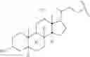 Fig. 21 - NUCLEOTIDE AND OLIGONUCLEOTIDE PRODRUGS