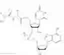 Fig. 31 - NUCLEOTIDE AND OLIGONUCLEOTIDE PRODRUGS