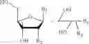 Fig. 32 - NUCLEOTIDE AND OLIGONUCLEOTIDE PRODRUGS