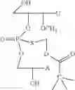 Fig. 35 - NUCLEOTIDE AND OLIGONUCLEOTIDE PRODRUGS