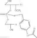 Fig. 37 - NUCLEOTIDE AND OLIGONUCLEOTIDE PRODRUGS