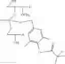 Fig. 40 - NUCLEOTIDE AND OLIGONUCLEOTIDE PRODRUGS