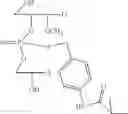 Fig. 43 - NUCLEOTIDE AND OLIGONUCLEOTIDE PRODRUGS