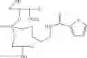 Fig. 53 - NUCLEOTIDE AND OLIGONUCLEOTIDE PRODRUGS
