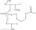 Fig. 55 - NUCLEOTIDE AND OLIGONUCLEOTIDE PRODRUGS