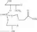 Fig. 65 - NUCLEOTIDE AND OLIGONUCLEOTIDE PRODRUGS