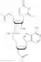 Fig. 66 - NUCLEOTIDE AND OLIGONUCLEOTIDE PRODRUGS