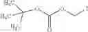 Fig. 99 - NUCLEOTIDE AND OLIGONUCLEOTIDE PRODRUGS