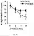Fig. 04 - Composition for autophagy inhibiting in cell, and pharmaceutical composition for preventing or treating tumor disease, or inhibiting anti-cancer agents resistance containing the same