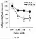 Fig. 05 - Composition for autophagy inhibiting in cell, and pharmaceutical composition for preventing or treating tumor disease, or inhibiting anti-cancer agents resistance containing the same