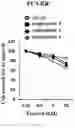 Fig. 08 - Composition for autophagy inhibiting in cell, and pharmaceutical composition for preventing or treating tumor disease, or inhibiting anti-cancer agents resistance containing the same