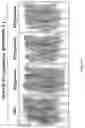 Fig. 10 - Composition for autophagy inhibiting in cell, and pharmaceutical composition for preventing or treating tumor disease, or inhibiting anti-cancer agents resistance containing the same
