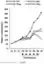 Fig. 11 - Composition for autophagy inhibiting in cell, and pharmaceutical composition for preventing or treating tumor disease, or inhibiting anti-cancer agents resistance containing the same