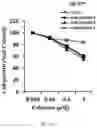 Fig. 19 - Composition for autophagy inhibiting in cell, and pharmaceutical composition for preventing or treating tumor disease, or inhibiting anti-cancer agents resistance containing the same