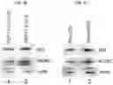 Fig. 04 - Modulation of P53 for the treatment of cancer