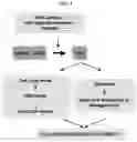 Fig. 06 - Modulation of P53 for the treatment of cancer