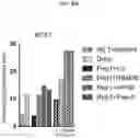 Fig. 24 - Modulation of P53 for the treatment of cancer