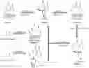 Fig. 01 - Prostate-specific membrane antigen (PSMA) targeting peptides