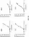 Fig. 06 - Prostate-specific membrane antigen (PSMA) targeting peptides