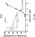 Fig. 16 - Prostate-specific membrane antigen (PSMA) targeting peptides