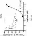 Fig. 17 - Prostate-specific membrane antigen (PSMA) targeting peptides